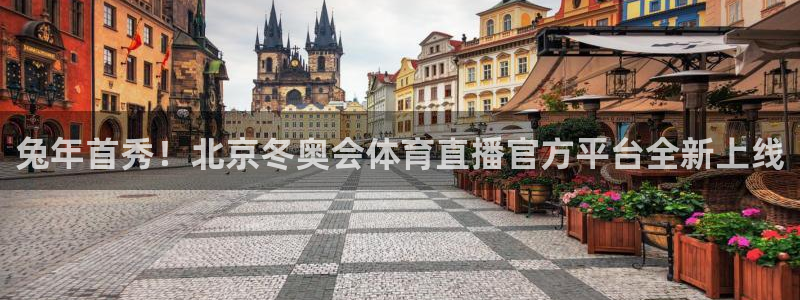 兔年首秀！北京冬奥会体育直播官方平台全新上线