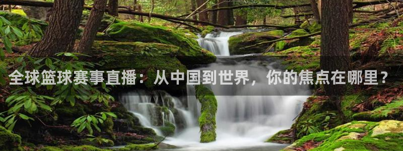 全球篮球赛事直播：从中国到世界，你的焦点在哪里？