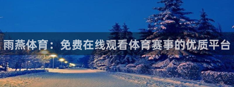 雨燕体育：免费在线观看体育赛事的优质平台