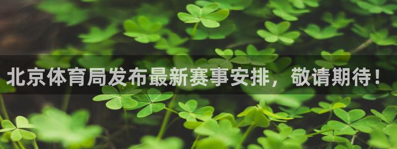 北京体育局发布最新赛事安排，敬请期待！