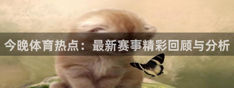 今晚体育热点：最新赛事精彩回顾与分析