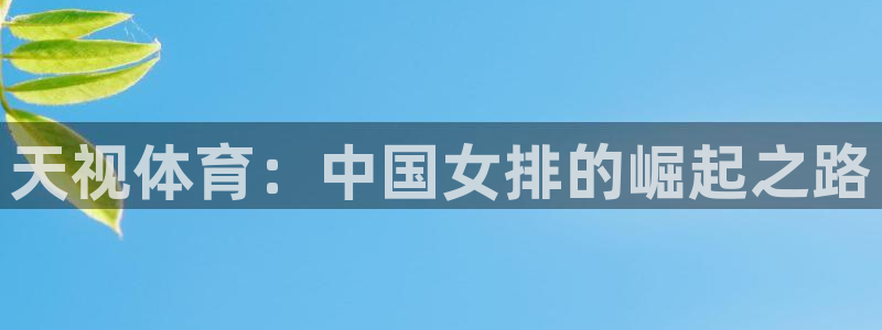 天视体育：中国女排的崛起之路