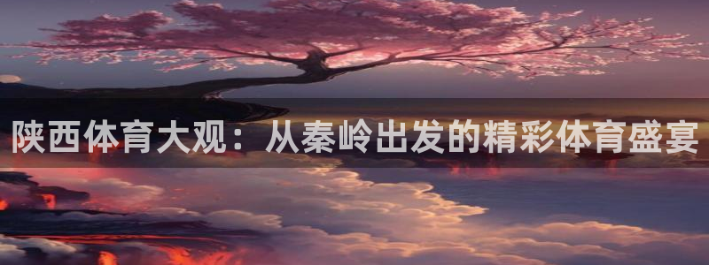 陕西体育大观：从秦岭出发的精彩体育盛宴