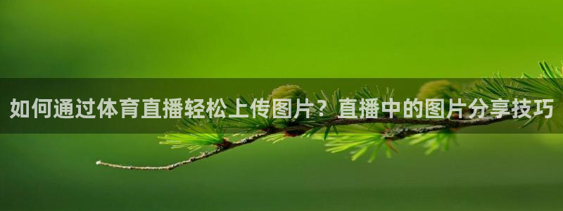 如何通过体育直播轻松上传图片？直播中的图片分享技巧