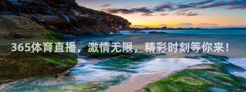 365体育直播，激情无限，精彩时刻等你来！