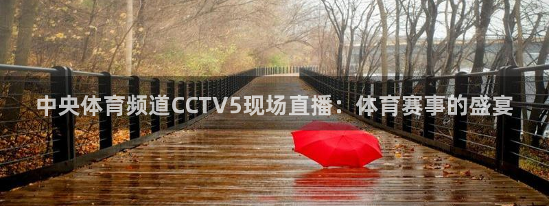 中央体育频道CCTV5现场直播：体育赛事的盛宴