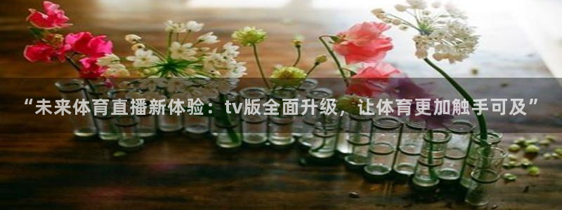 “未来体育直播新体验：tv版全面升级，让体育更加触手可及”