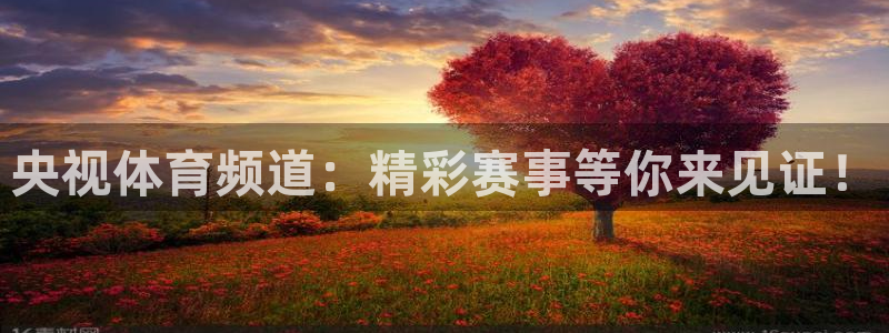央视体育频道：精彩赛事等你来见证！