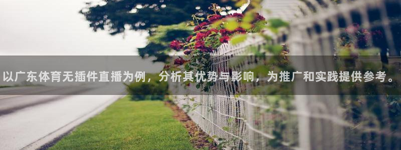以广东体育无插件直播为例，分析其优势与影响，为推广和实践提供参考。