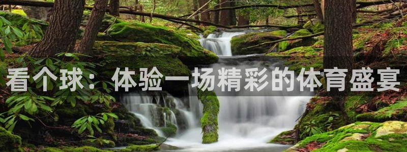 看个球：体验一场精彩的体育盛宴