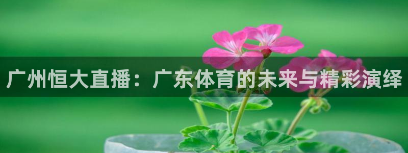 广州恒大直播：广东体育的未来与精彩演绎