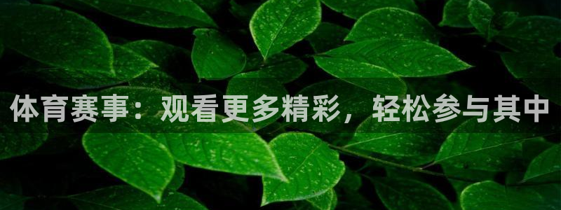 体育赛事：观看更多精彩，轻松参与其中